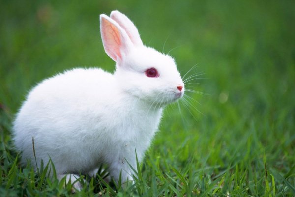 一衣带水指一生肖