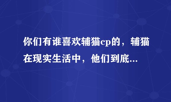 你们有谁喜欢辅猫cp的，辅猫在现实生活中，他们到底是什么关系？