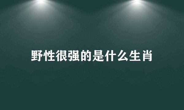 野性很强的是什么生肖