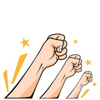 八省联考哪个省赢了