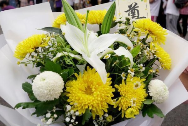 袁隆平雕像前的花海登上热搜，这片花海究竟有什么特殊之处？