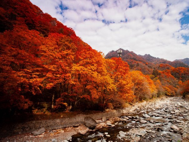 十一月份去哪里旅游比较好