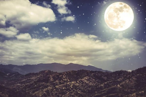 月坠花折啥意思