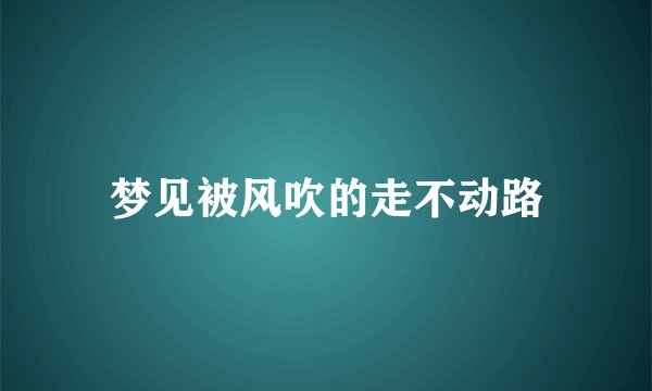 梦见被风吹的走不动路