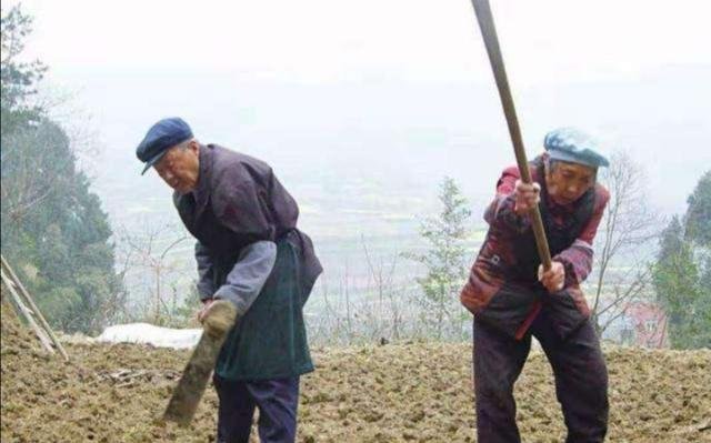 我今年69岁啦，可是我上我儿子家，我儿子不管我吃我该怎么办？