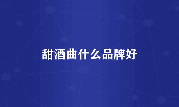 甜酒曲什么品牌好