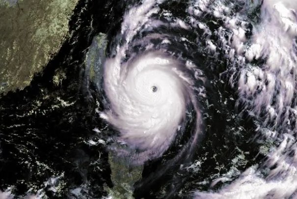 杜苏芮什么意思