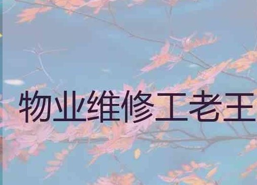 物业维修工老王马婷有大结局吗?