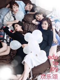 欢乐颂一共多少集