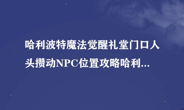 哈利波特魔法觉醒礼堂门口人头攒动NPC位置攻略哈利波特魔法觉醒拼图寻宝924攻略