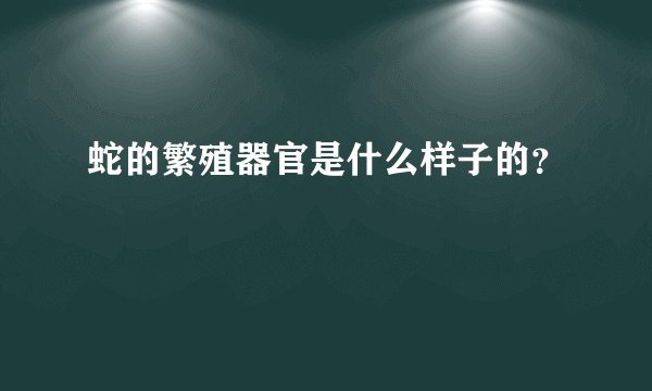 蛇的繁殖器官是什么样子的？