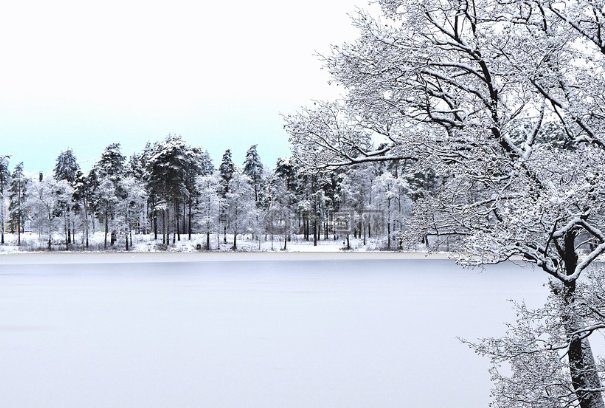 天下撒来云母粉什么意思