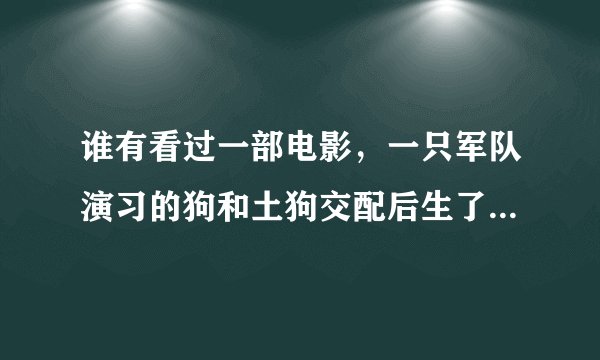 谁有看过一部电影，一只军队演习的狗和土狗交配后生了两个小狗。一只叫公主。一只叫王子的