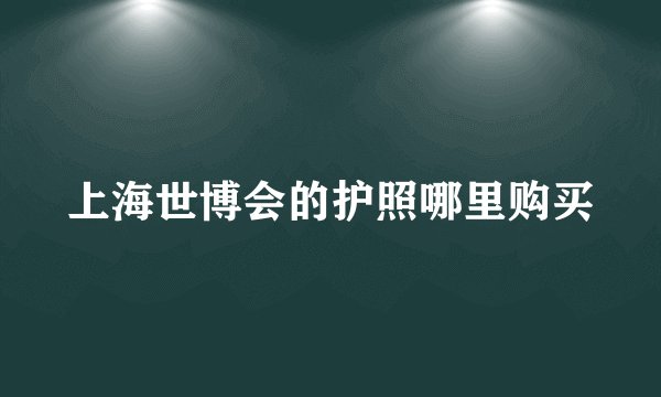上海世博会的护照哪里购买
