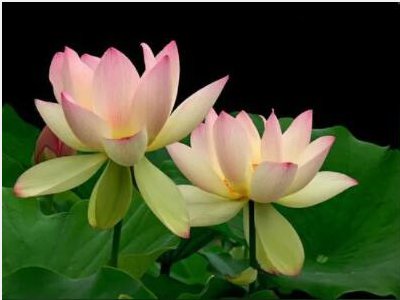 很也很造句一年级简单