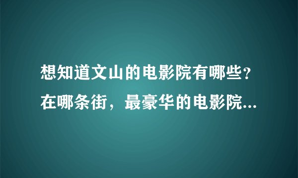 想知道文山的电影院有哪些？在哪条街，最豪华的电影院是哪里？