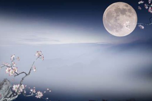 但愿人长久千里共婵娟全诗