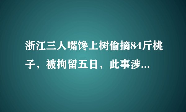 浙江三人嘴馋上树偷摘84斤桃子，被拘留五日，此事涉及了哪些法律问题？