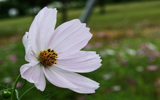 什么的微风，如何填空？