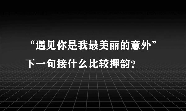 “遇见你是我最美丽的意外”下一句接什么比较押韵？