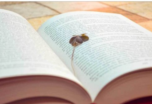 论文查重网站有哪些？