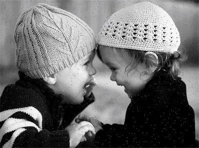 请问:京都1.5分采每天几点开始的?是怎么买的？