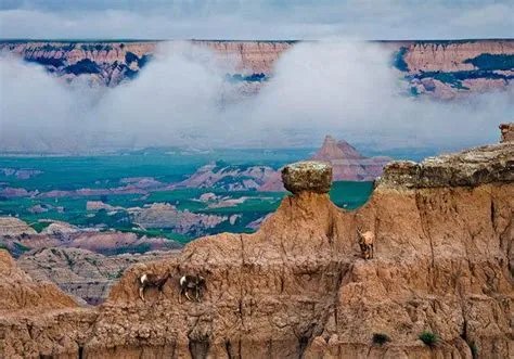 迷雾11-4怎么打,爱奇艺陷入迷雾