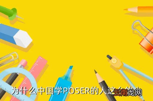 poser中国，poser导入google sketchup