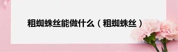 粗蜘蛛丝能做什么（粗蜘蛛丝）