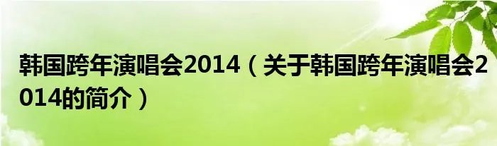 韩国跨年演唱会2014（关于韩国跨年演唱会2014的简介）