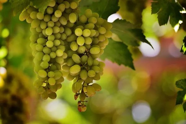 新疆宣布全面恢复正常生产生活秩序，这代表着什么？