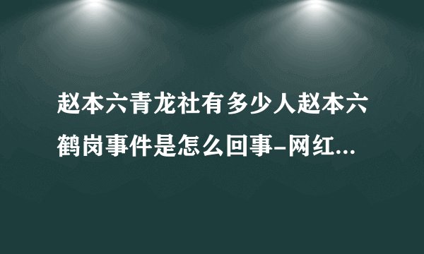 赵本六青龙社有多少人赵本六鹤岗事件是怎么回事-网红-飞外网