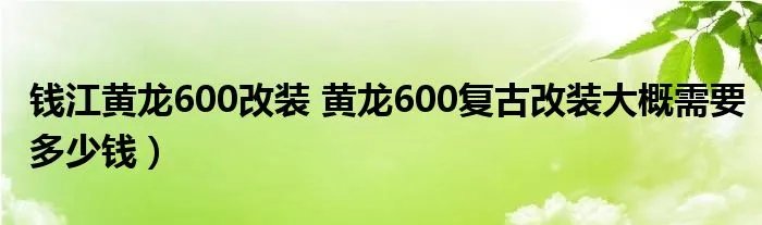 钱江黄龙600改装 黄龙600复古改装大概需要多少钱）