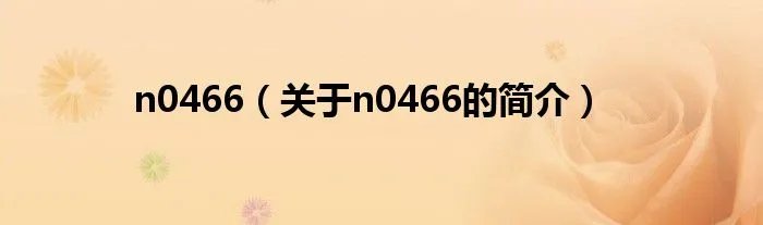 n0466（关于n0466的简介）