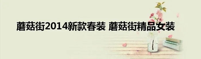 蘑菇街2014新款春装 蘑菇街精品女装