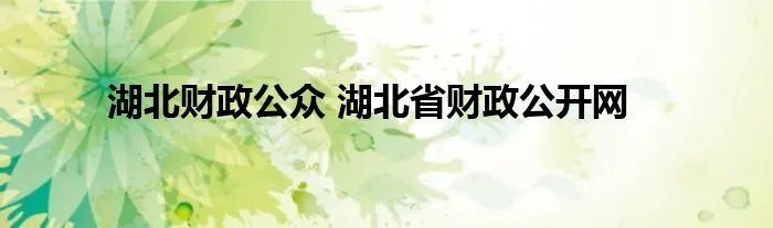 湖北财政公众 湖北省财政公开网