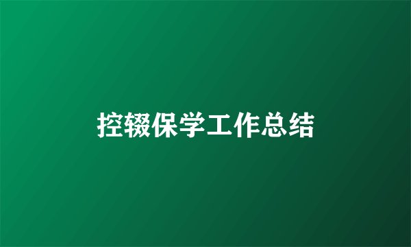 控辍保学工作总结