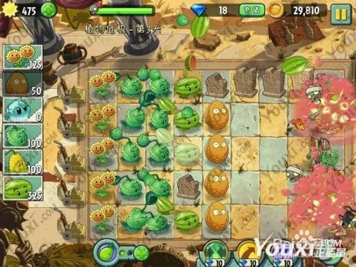 植物大战僵尸2中文版 埃及植物危机第3天攻略