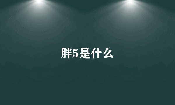 胖5是什么