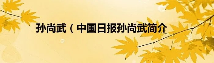 孙尚武（中国日报孙尚武简介