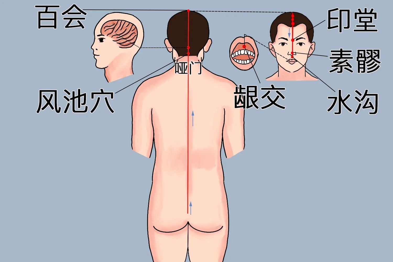 头部后脑勺经络图解大全图片