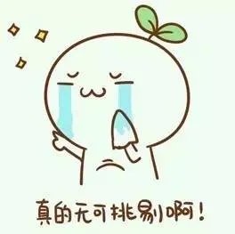 王祖蓝装修被坑500万的教训告诉我们……