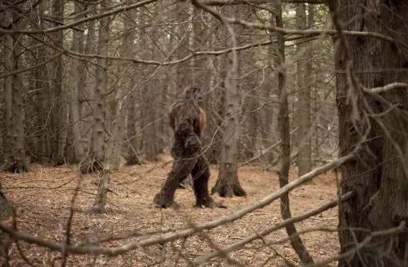 毛骨悚然!男子野外竟拍到这一幕：真实的野人（图）