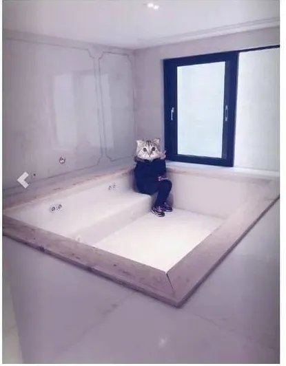 郭敬明豪华家装是什么样子？