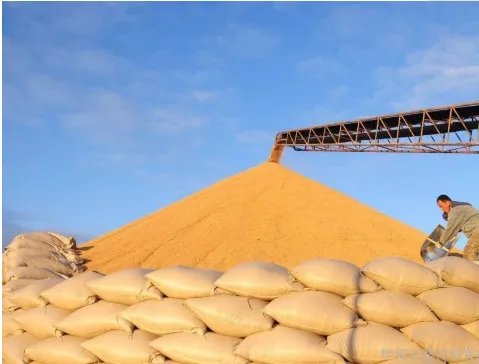 吉林粮仓突发火灾具体赛况怎么样了?