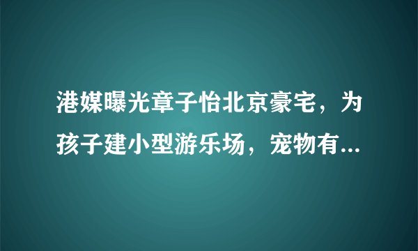 港媒曝光章子怡北京豪宅,为孩子建小型游乐场,宠物有专门卧室,羡慕吗?