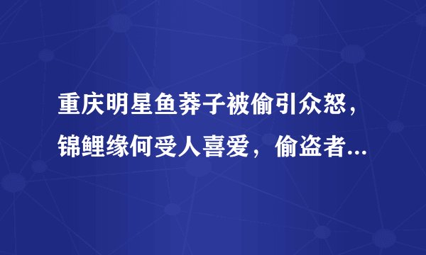 重庆明星鱼莽子被偷引众怒，锦鲤缘何受人喜爱，偷盗者该不该重罚