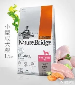 哈士奇吃什么狗粮好?