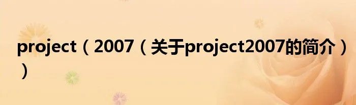 project（2007（关于project2007的简介））