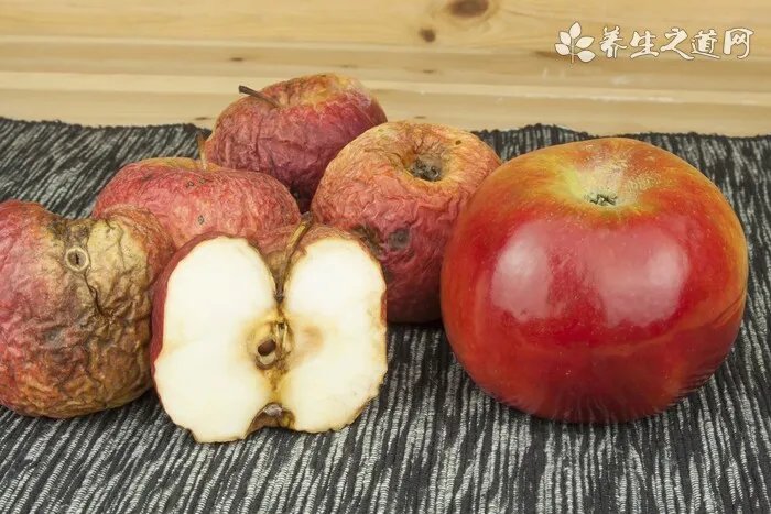 舌尖猎人是什么意思